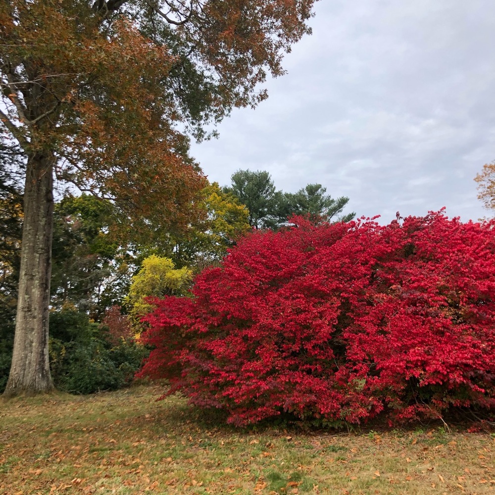 Meet your Posher, Libby